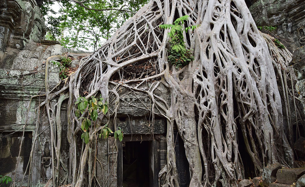 cambodia