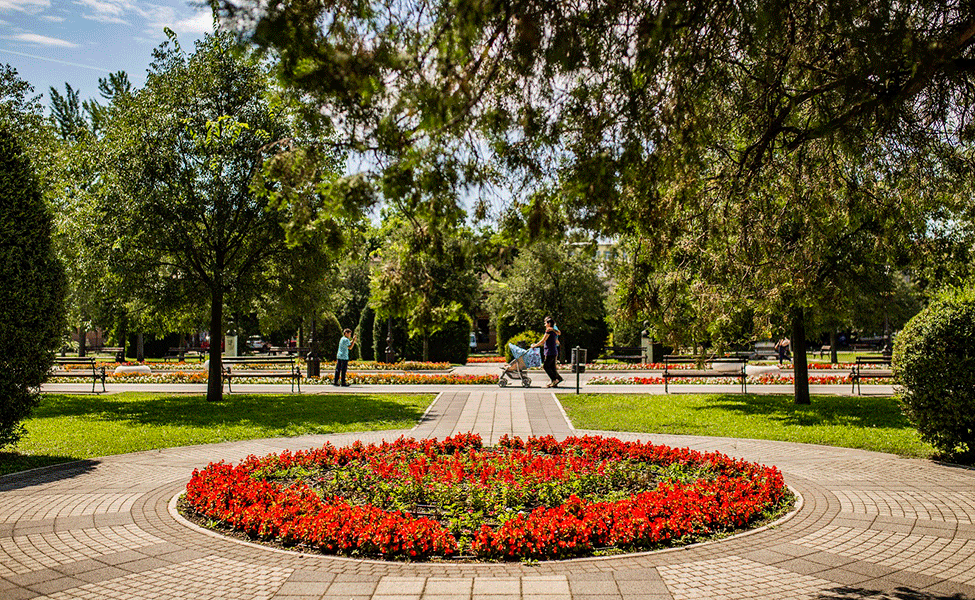 Centar grada Sombora