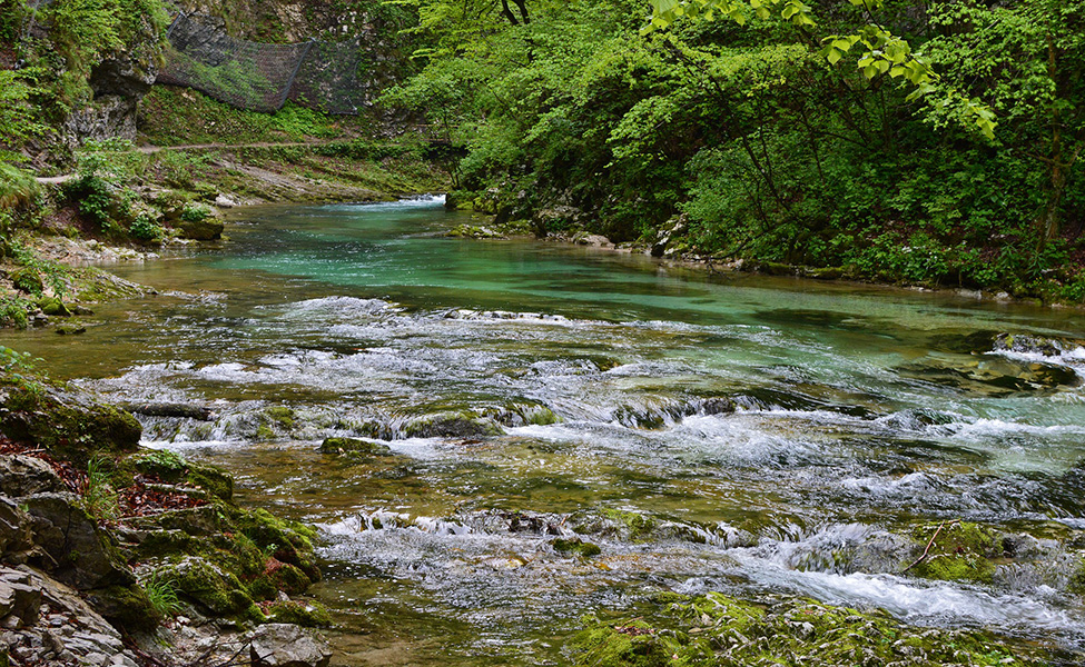 River in Slovenia