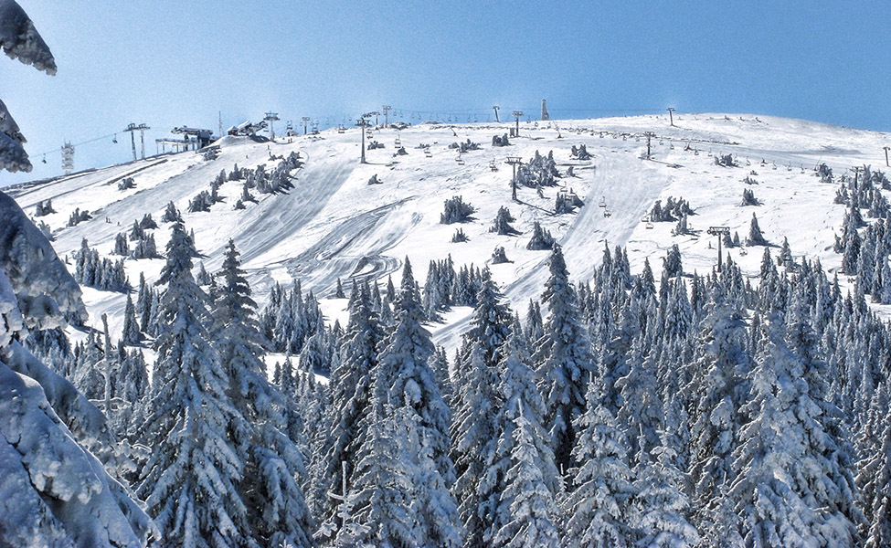 Kopaonik Pančićev vrh