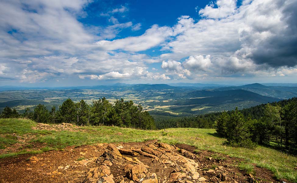 Planina Divčibare- planina sa četinarima