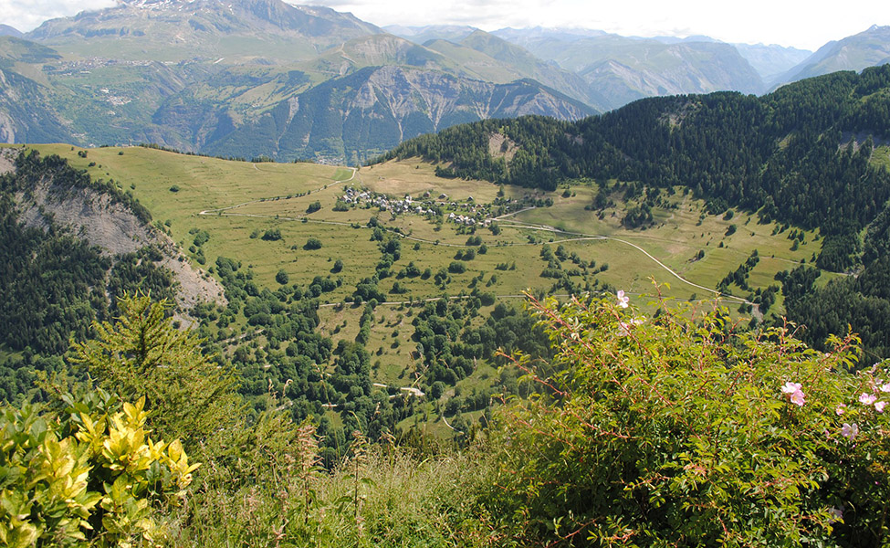 Mountain and nature