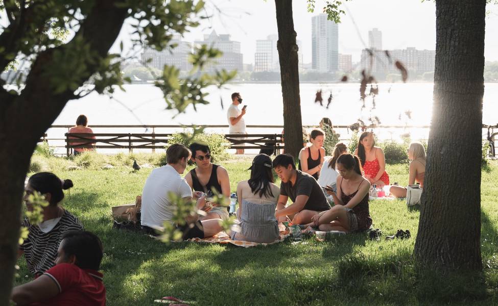 Picnic in a city park 