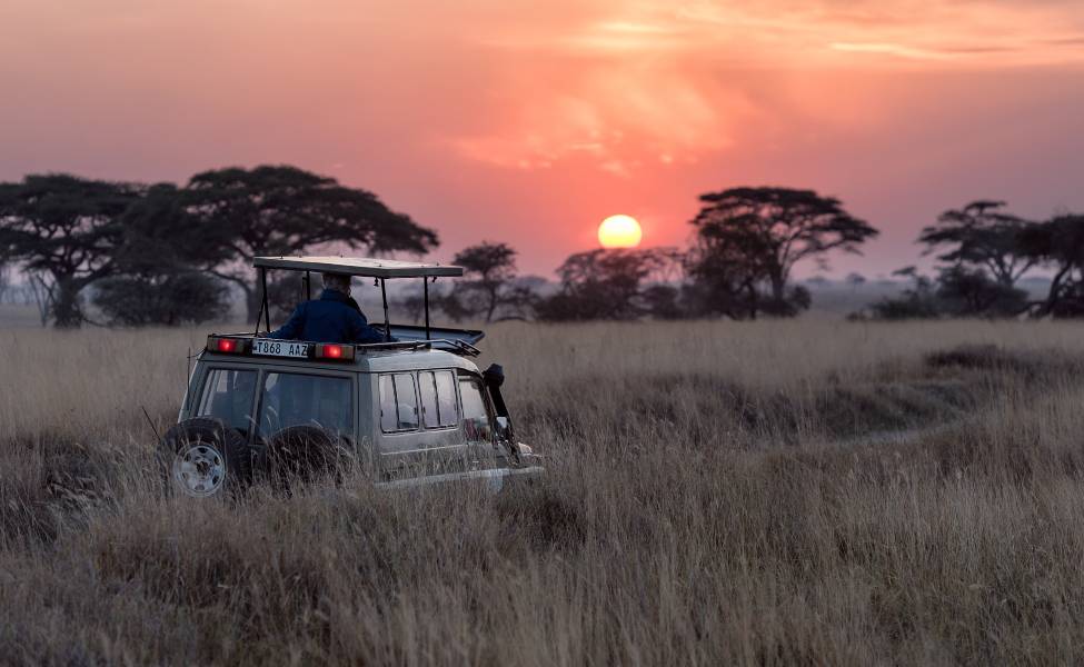 Safari in Tanzania