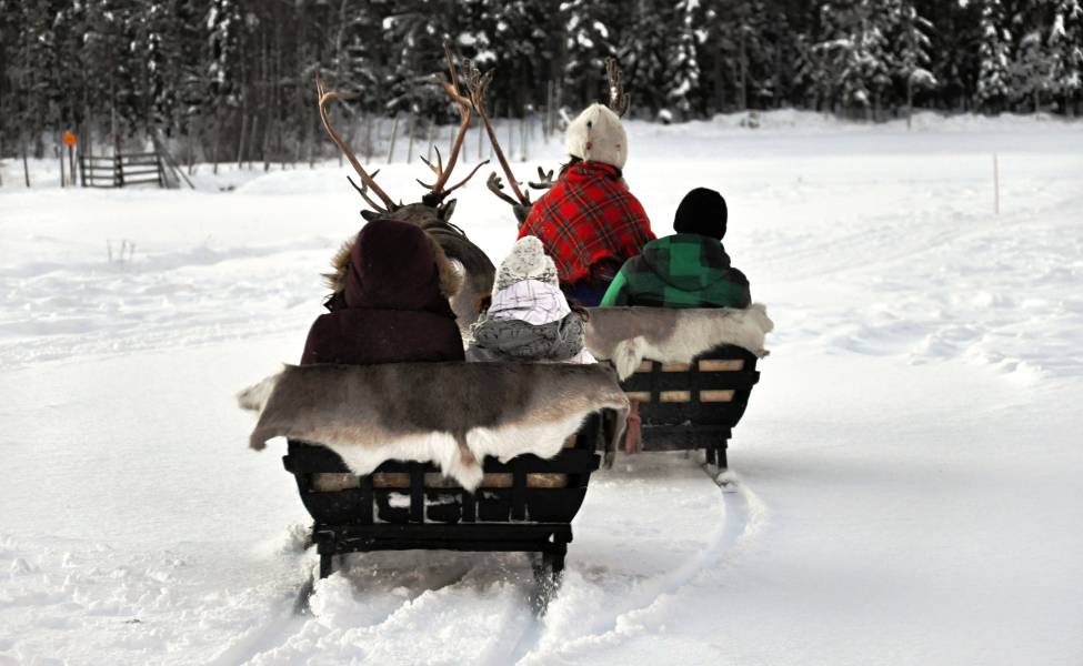 Sleigh ride in Lapland 