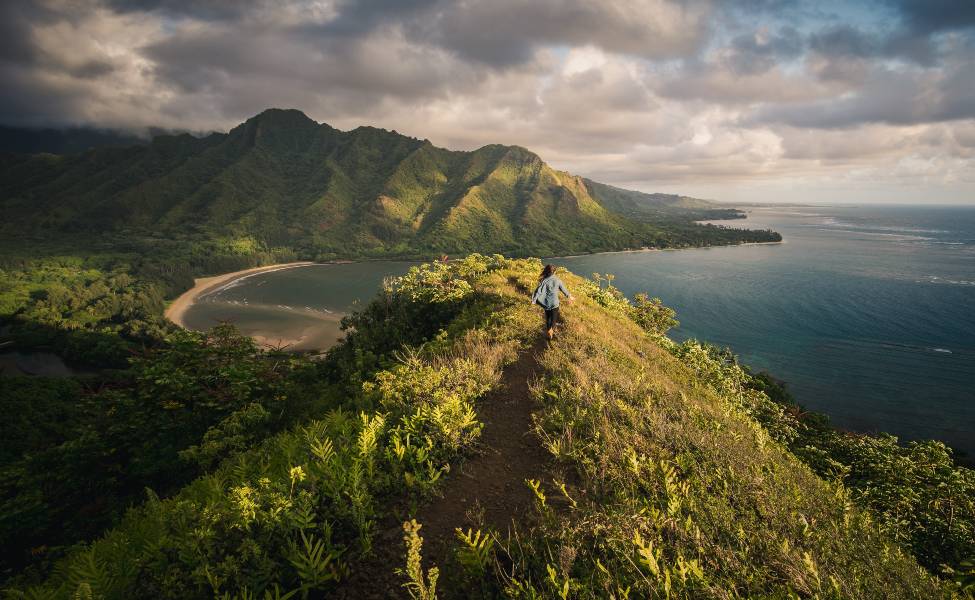 High cliffs of Hawaii