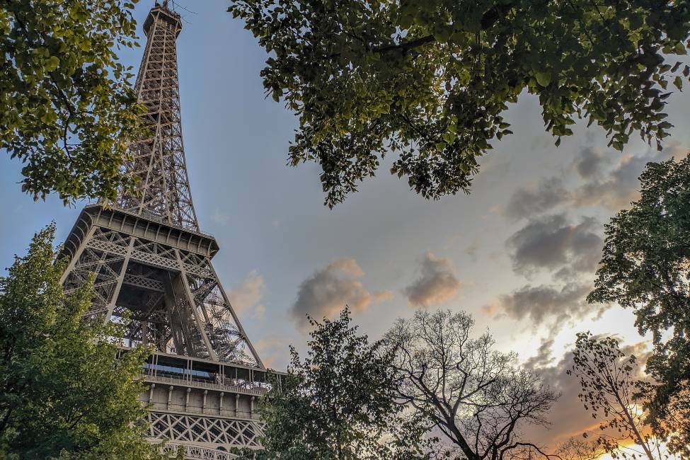 Eiffel tower and the trees