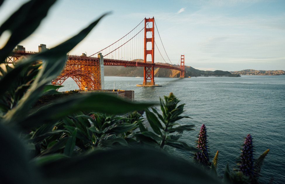 Golden Gate bridge behind a leaf 