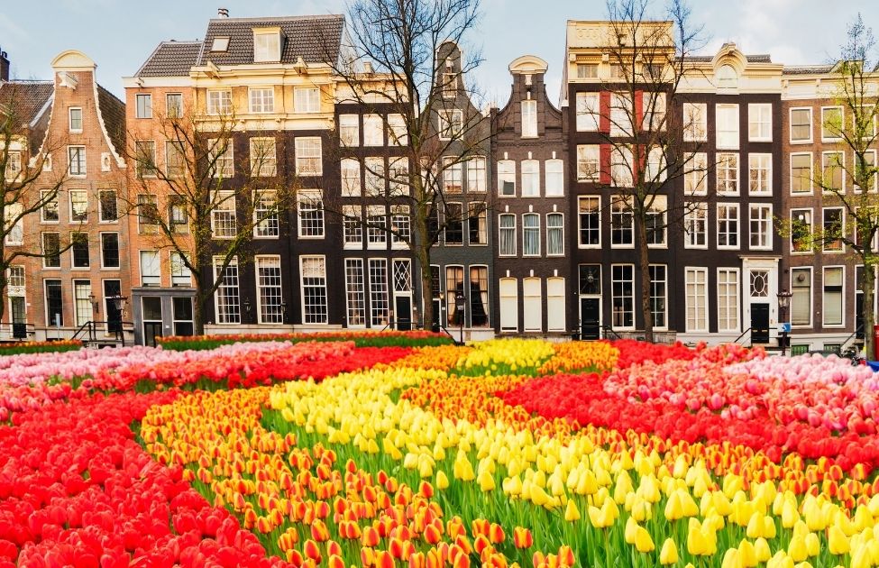 Flowers and Dutch architecture in Amsterdam 