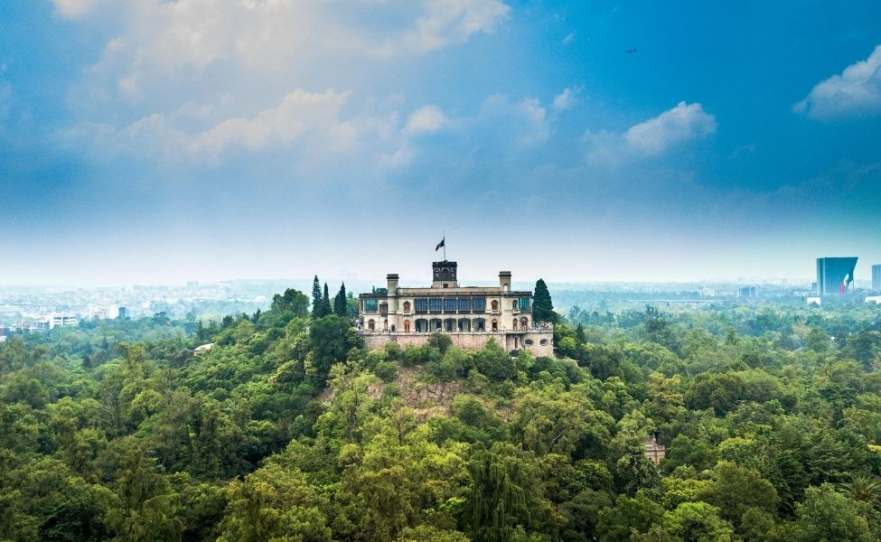 A castle on top of a hill in the forest 