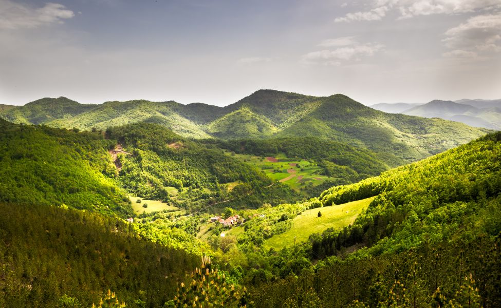 Aerial view of green pastures of Kopanik 