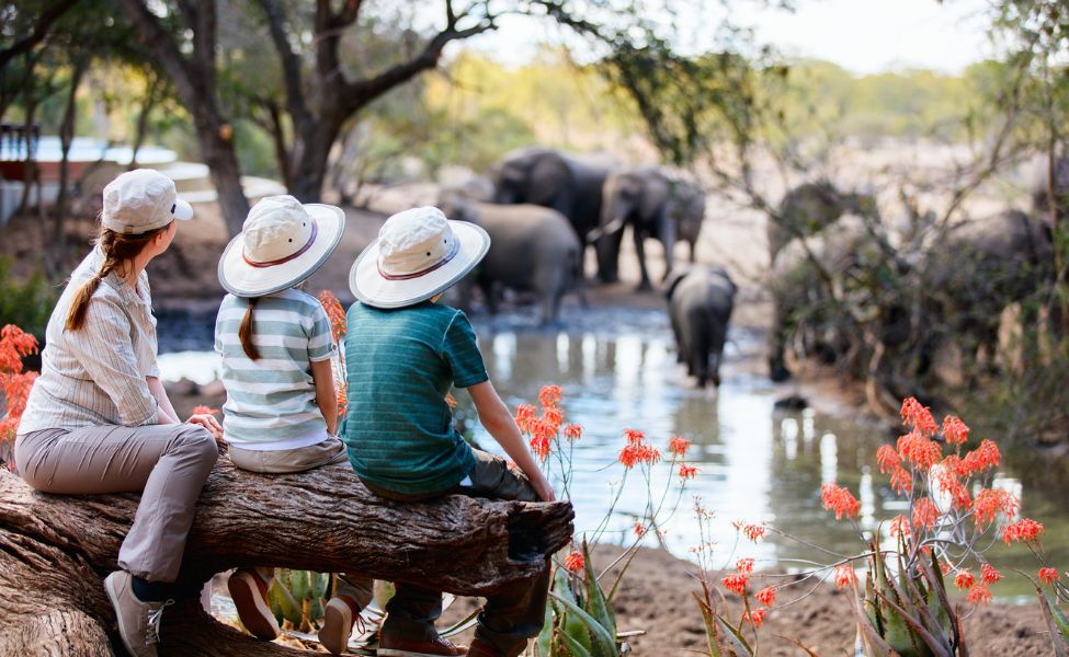 Kids and a woman on a safari 