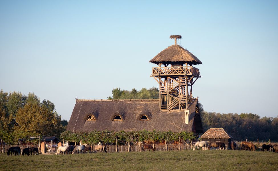 Wooden house and horses in a nature reserve 