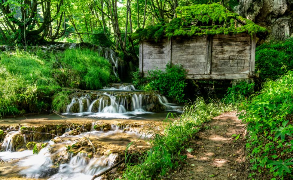 Wooden house on water slaps covered in moss