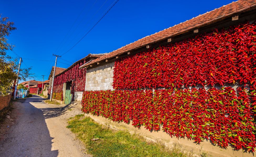 Peppers on the house facades 