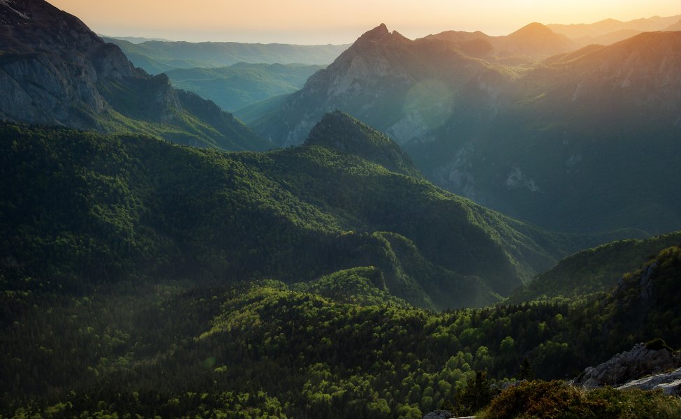 Perucica forest in Sutjeska NP