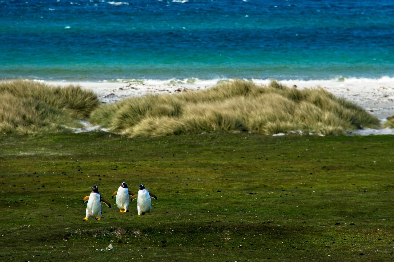 Falkland Islands