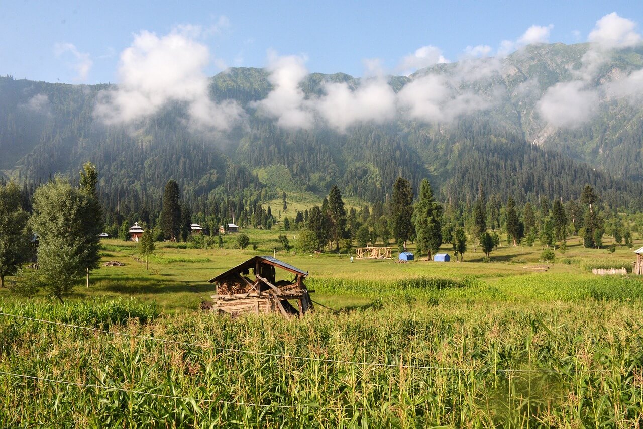 Pakistan