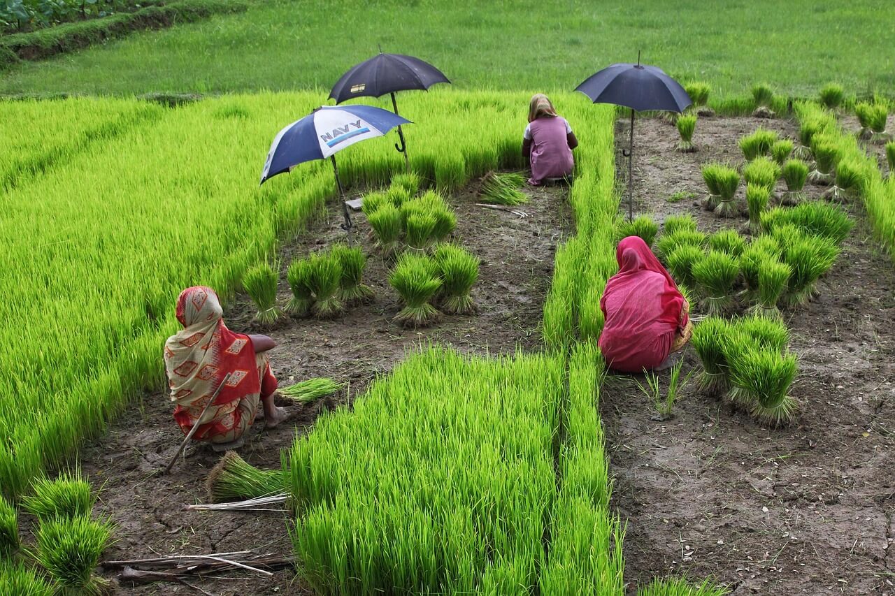Bangladesh