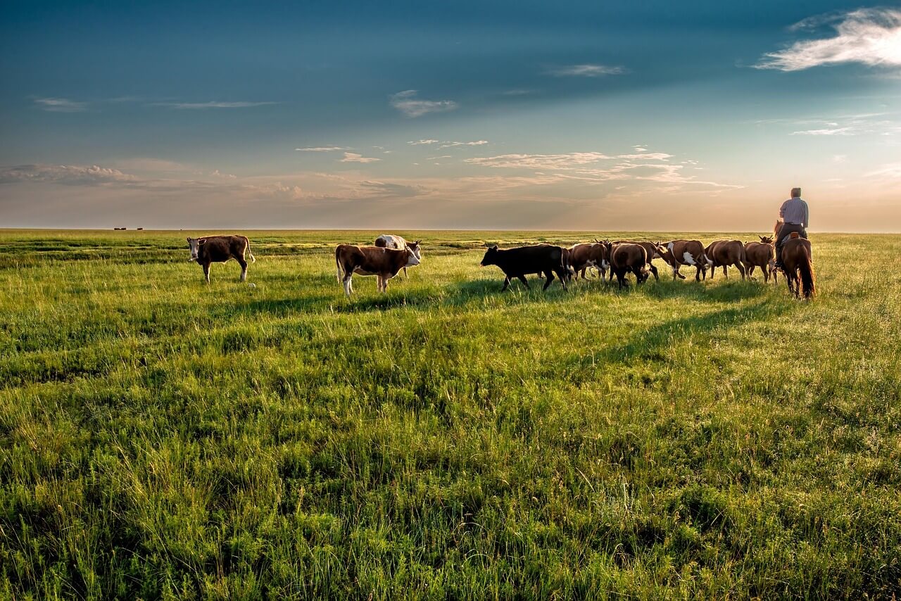 Mongolia