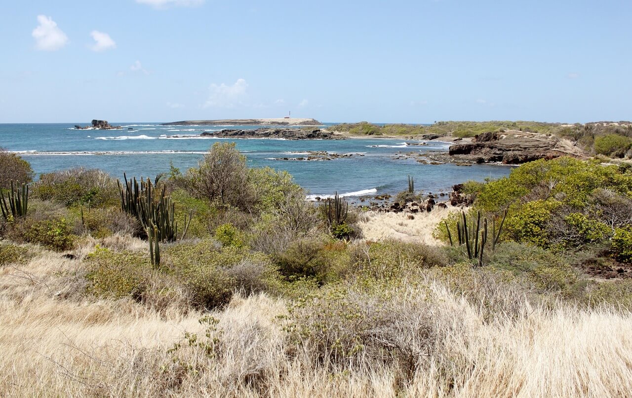 Martinique