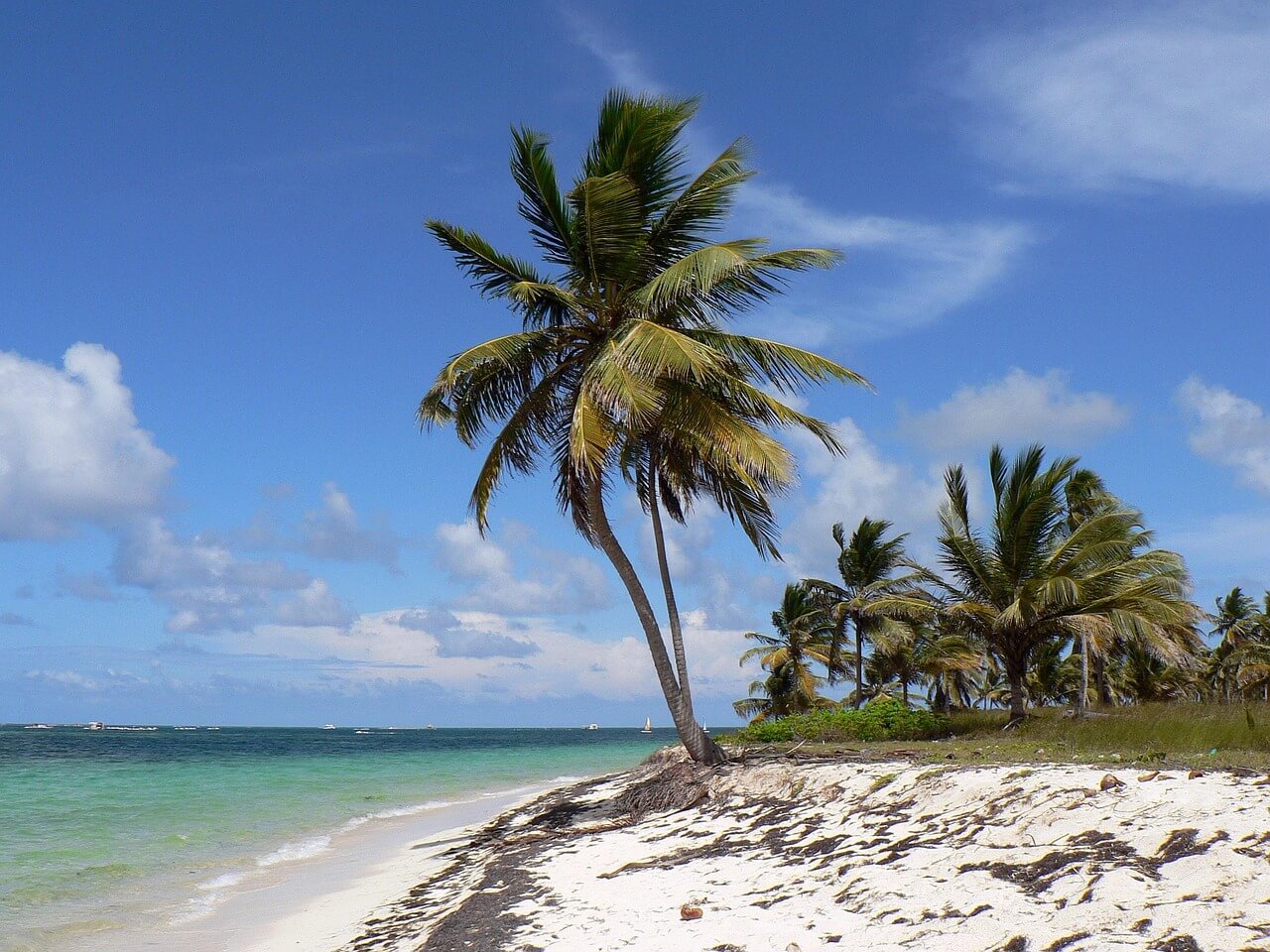 Dominican Republic