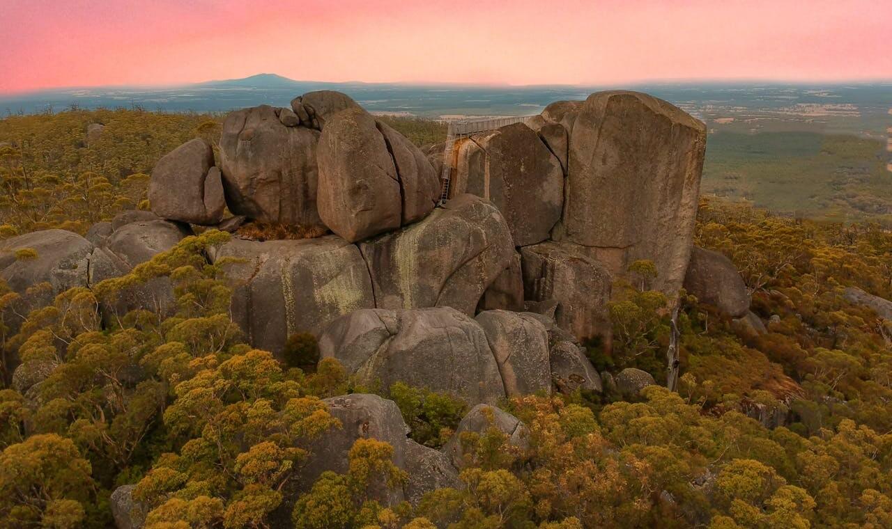Albany