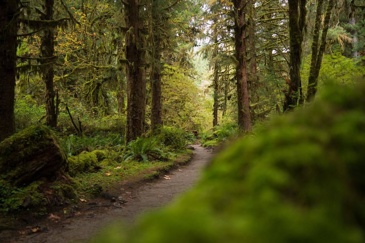 Port Angeles