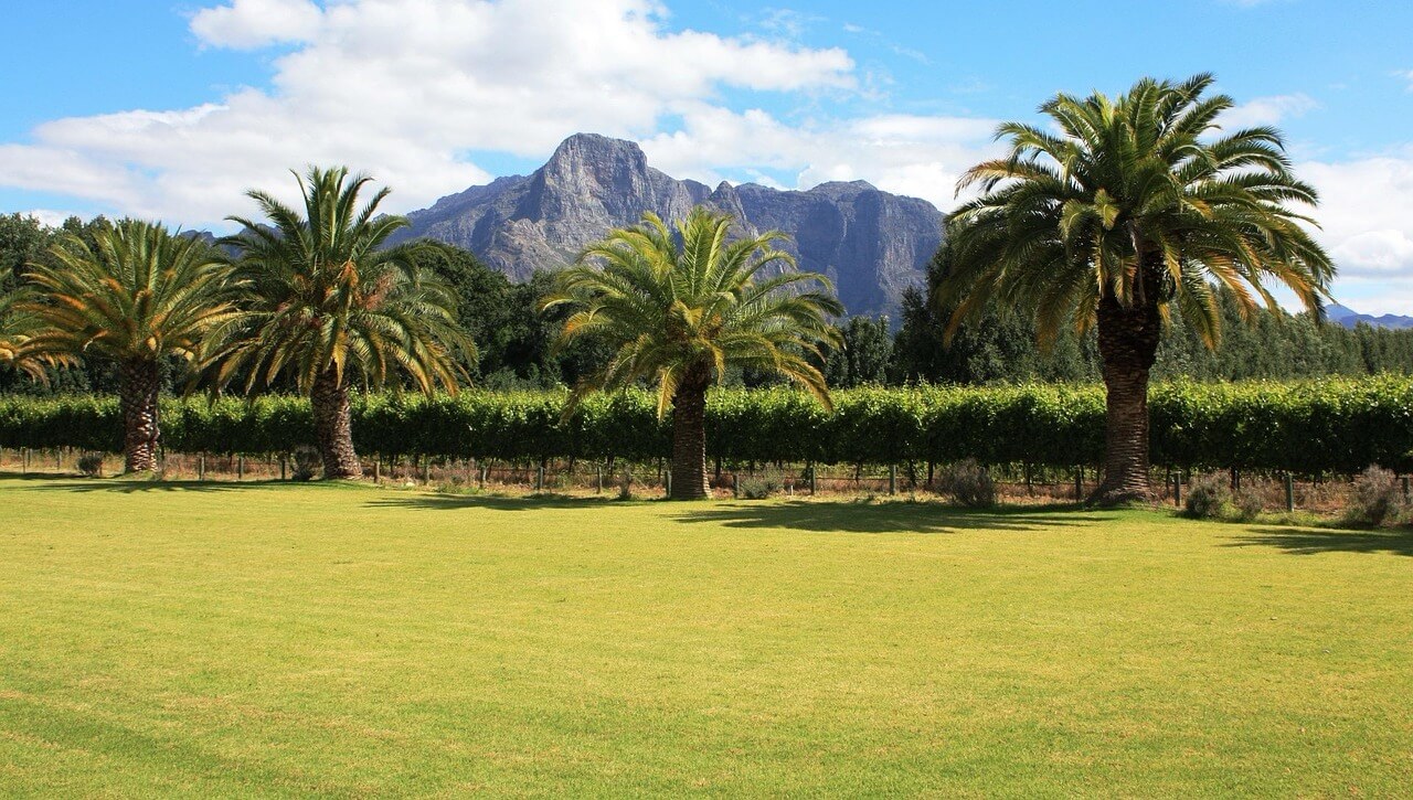 Franschhoek