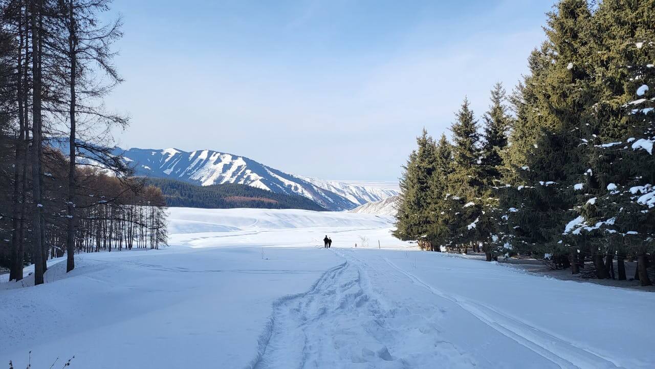 Karakol