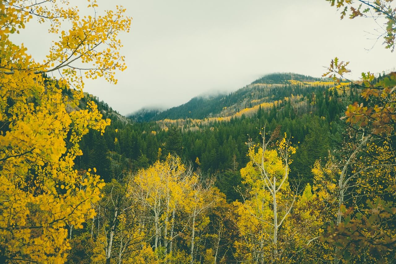 Steamboat Springs