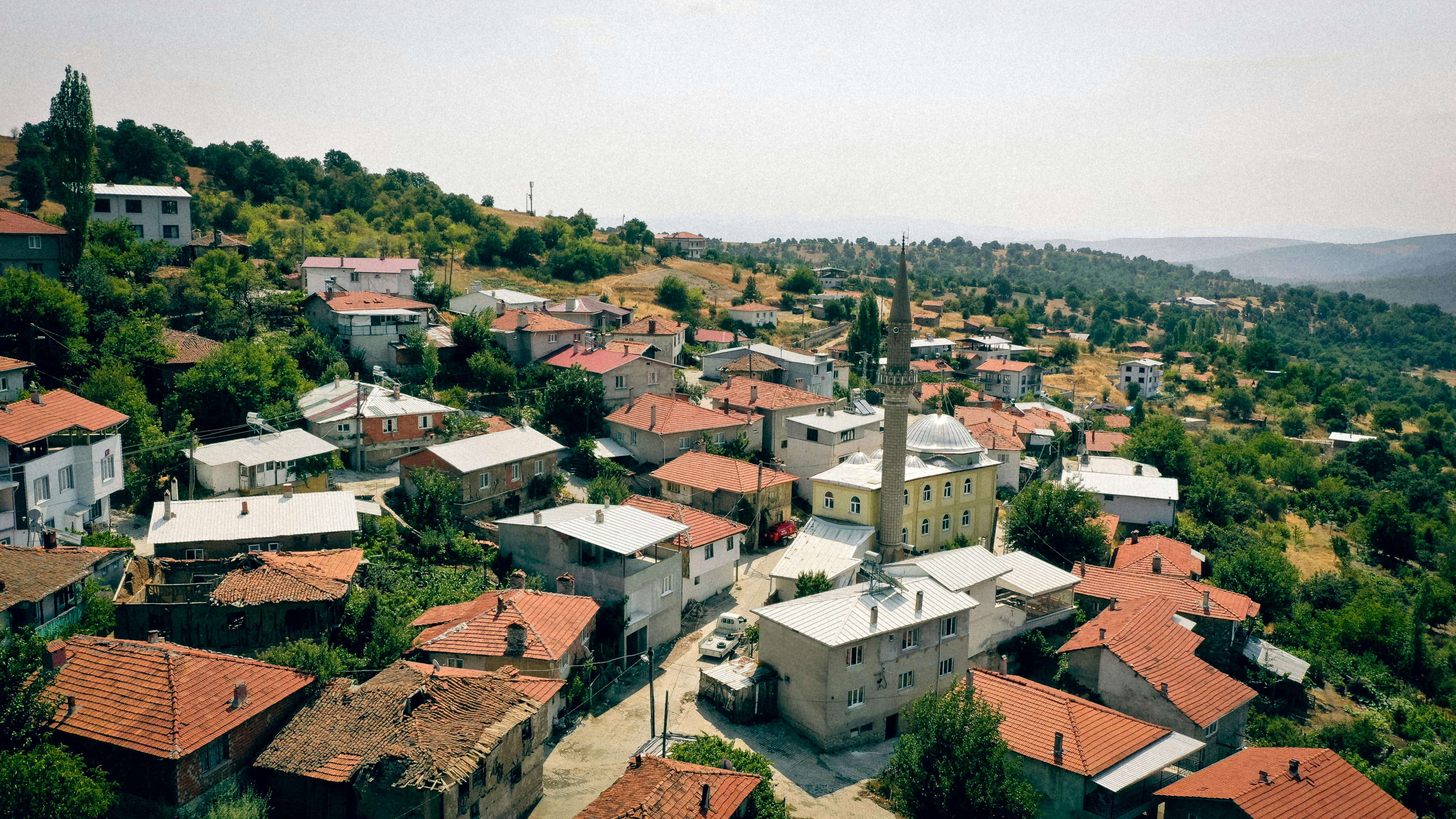 Bursa