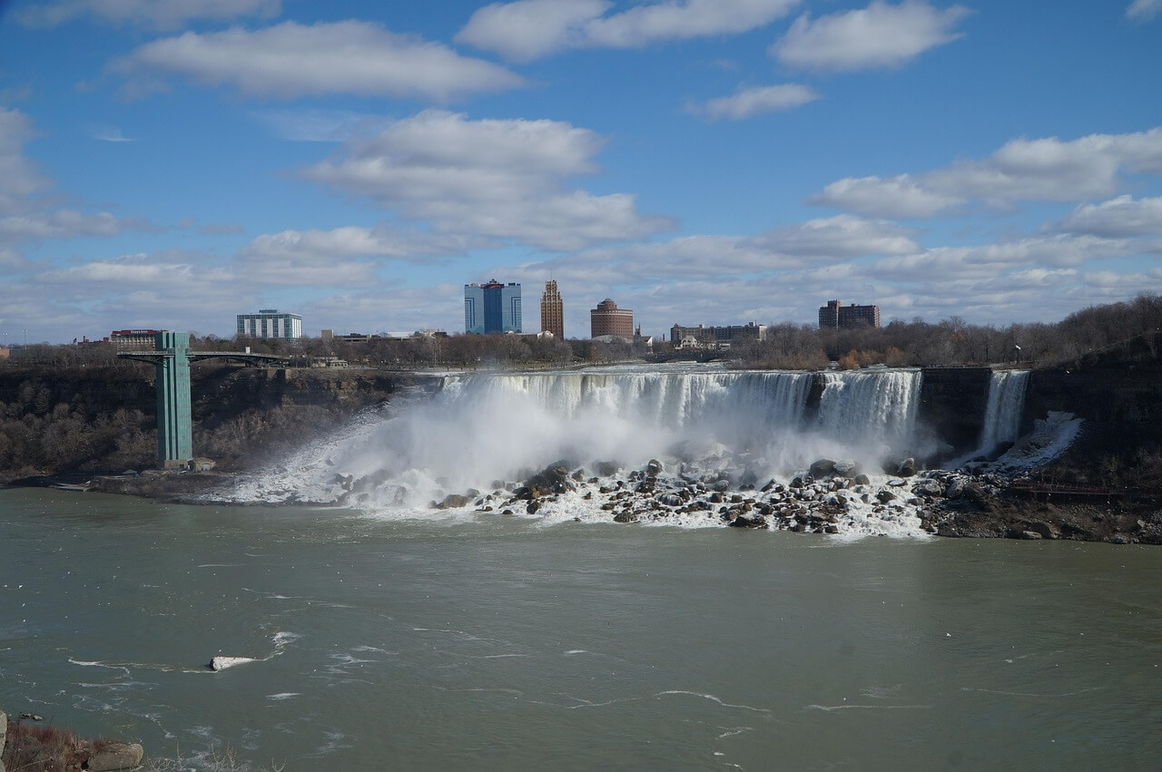 Buffalo