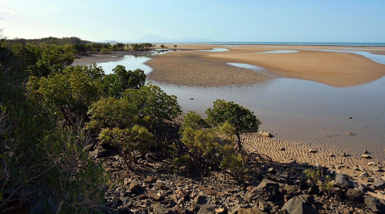 Cape Tribulation