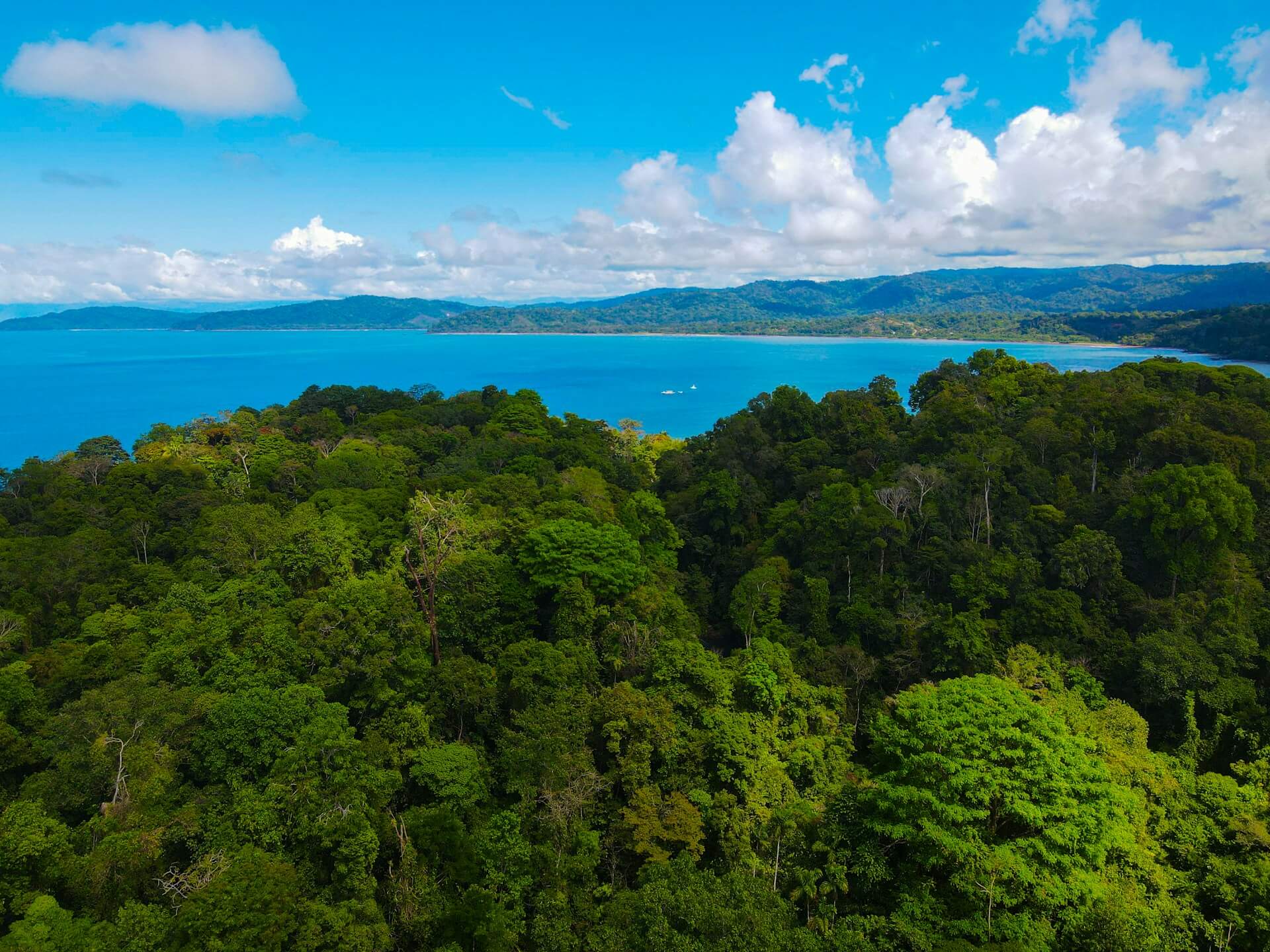 Drake Bay