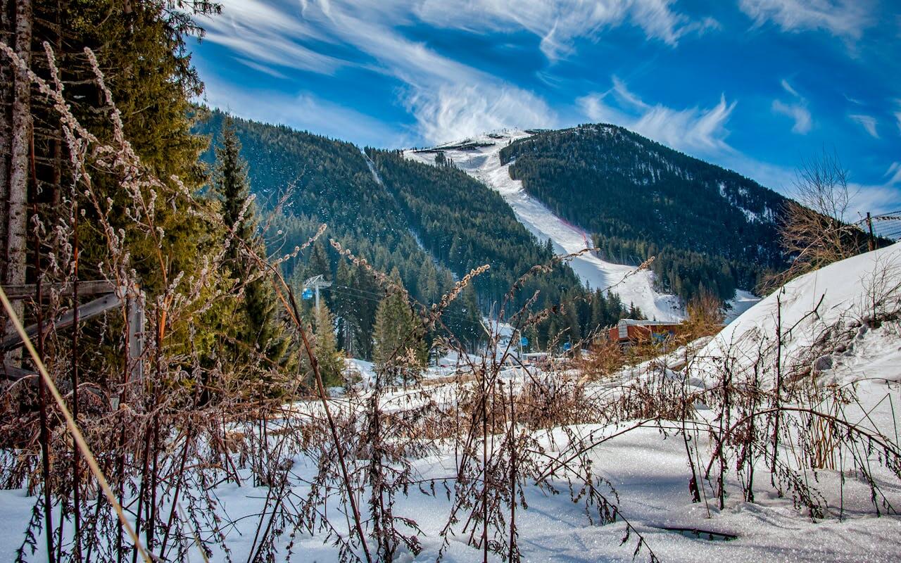 Bansko