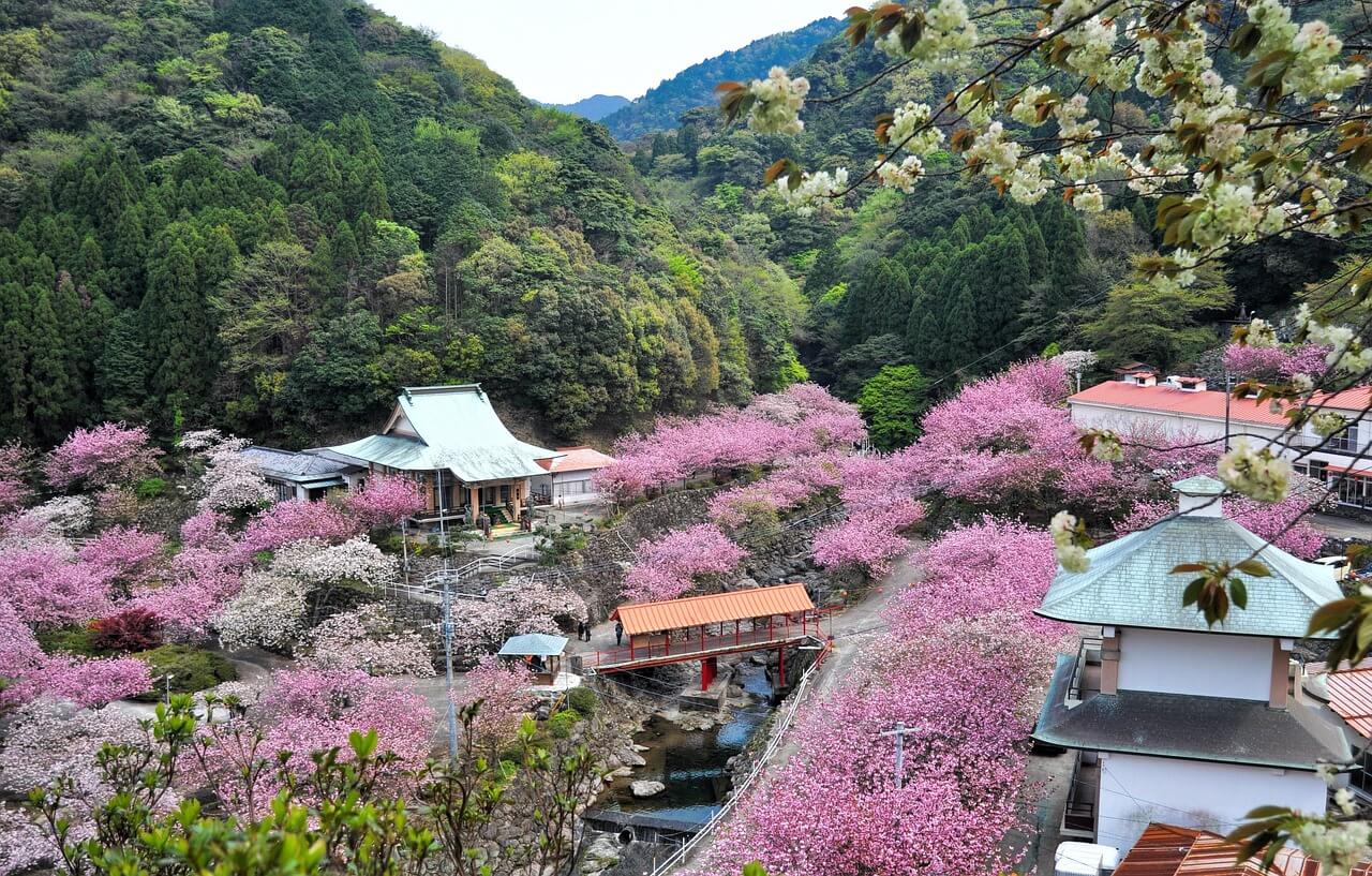 Oita