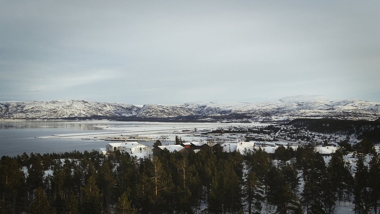 Alta