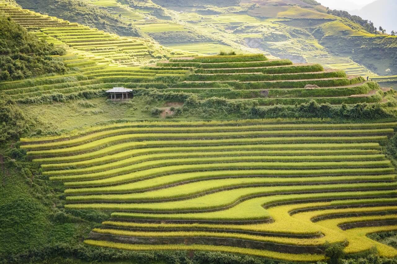 Dien Bien Phu