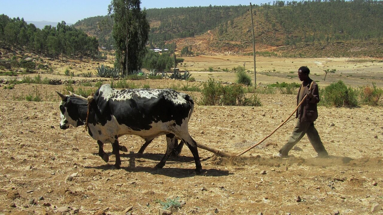Dire Dawa