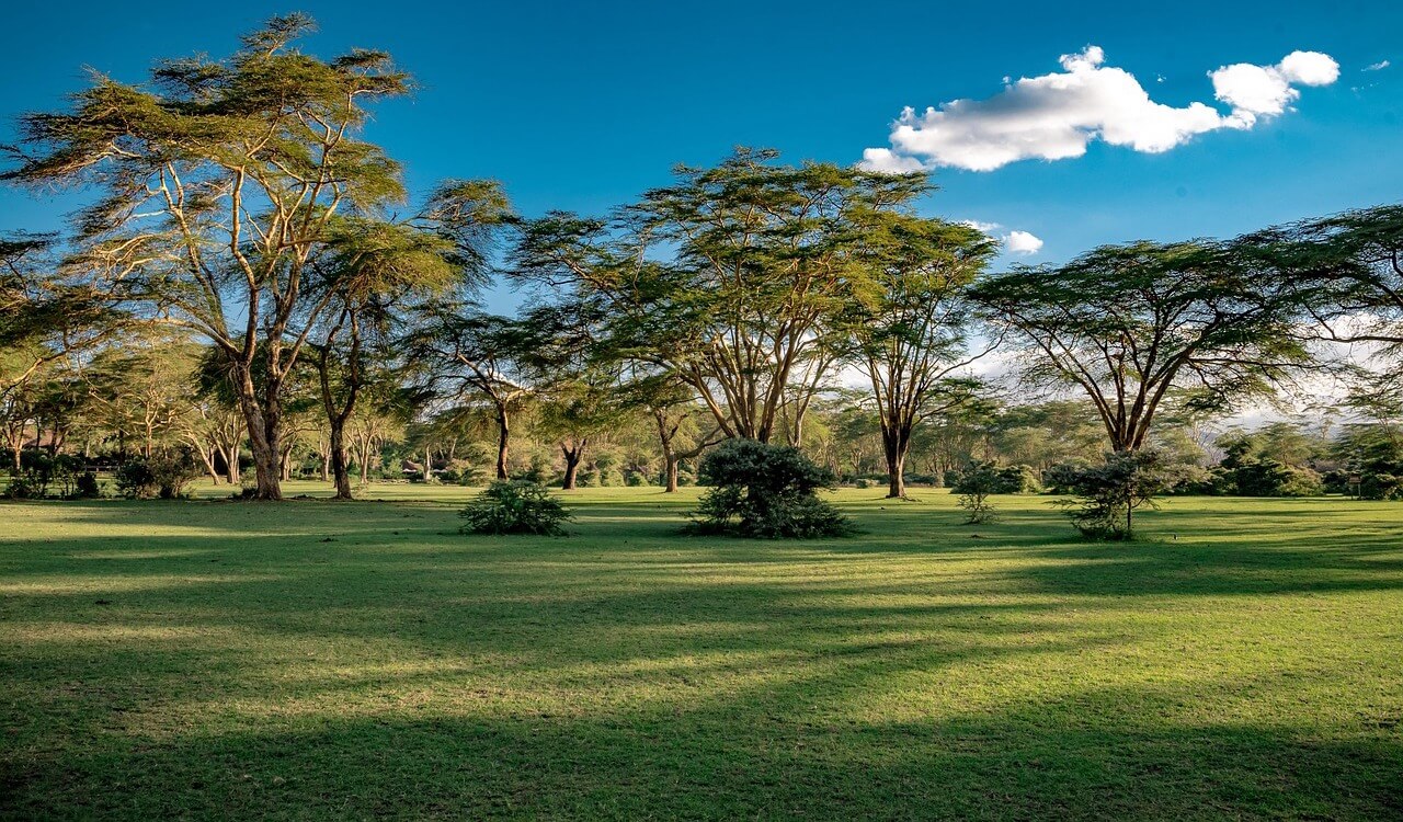 Naivasha