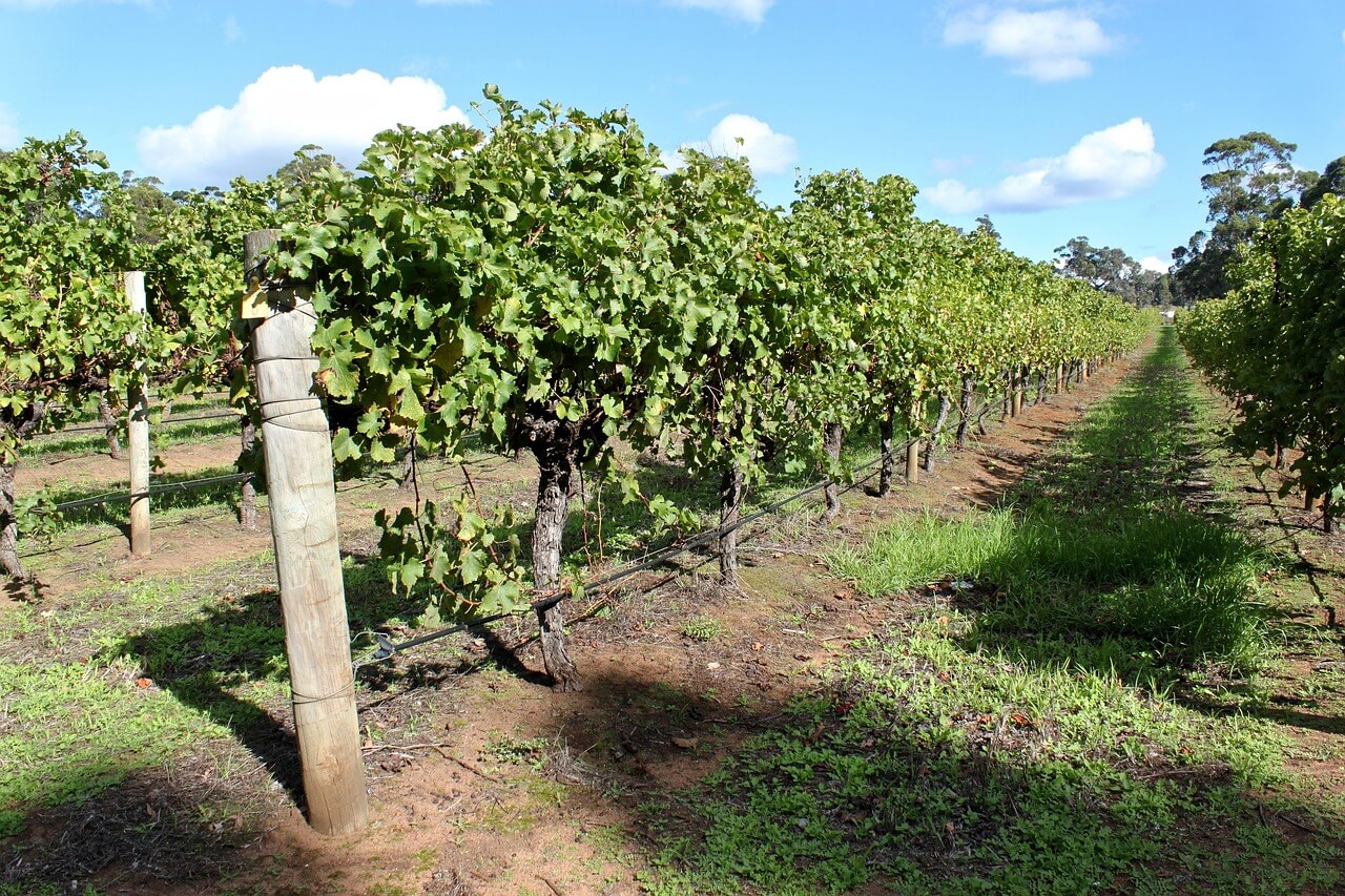 Margaret River