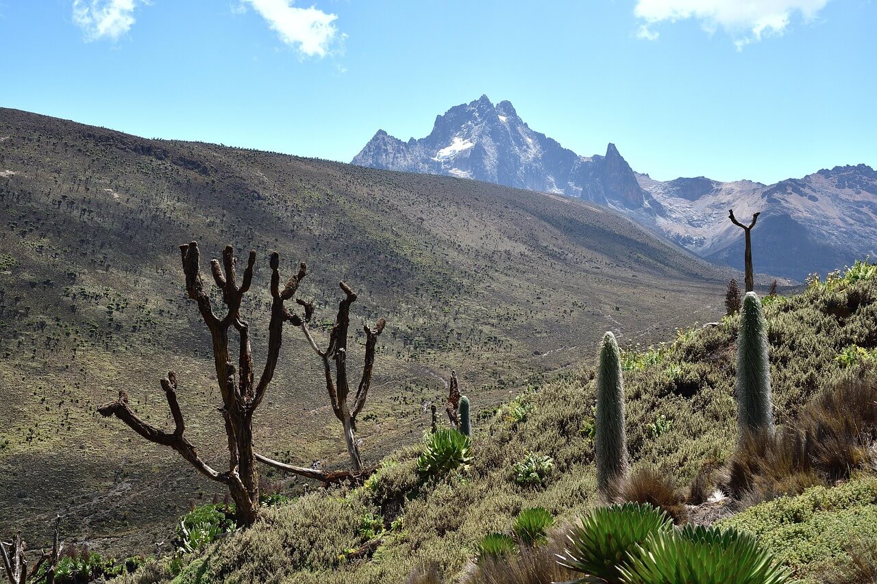 Mount Kenya National Park