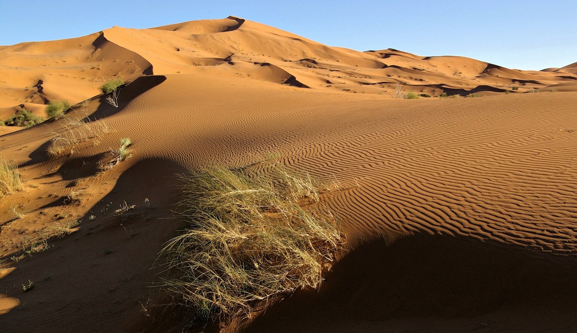 Erg Chebbi
