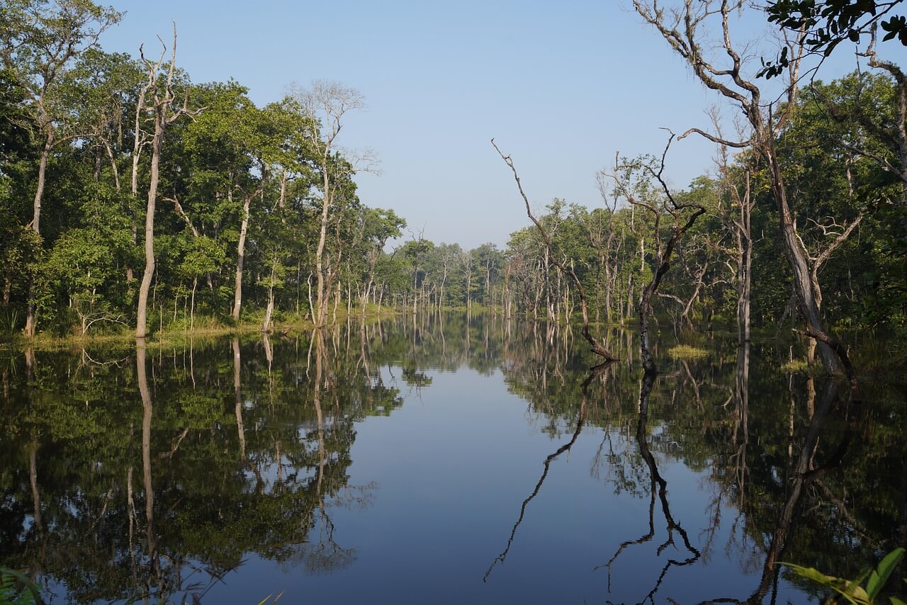 Sauraha
