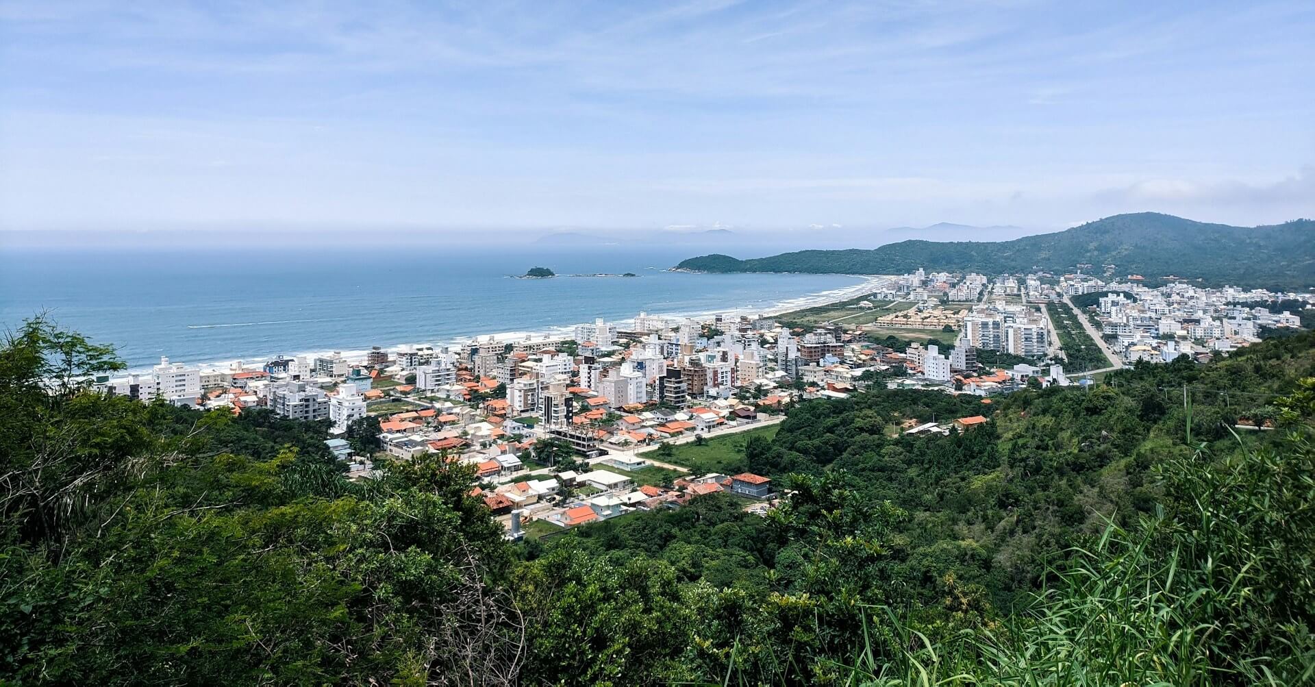 Palmas