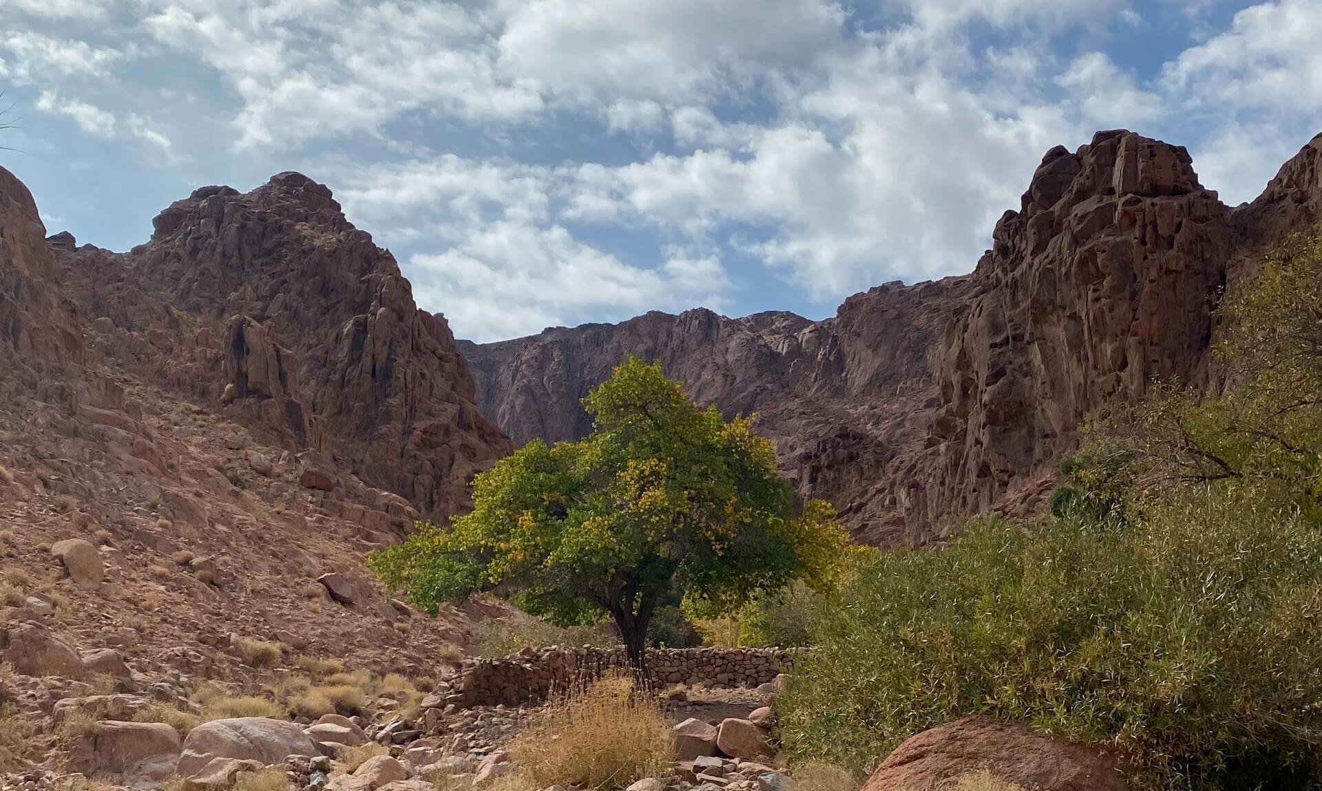 Saint Catherine