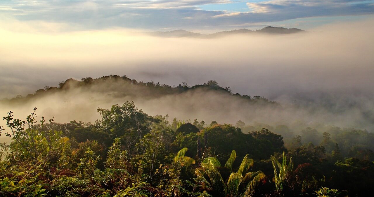 Gunung Mulu National Park