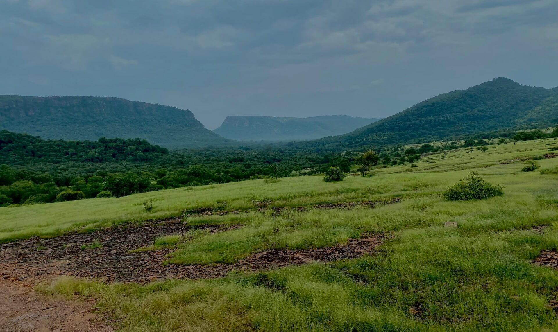 Ranthambore National Park