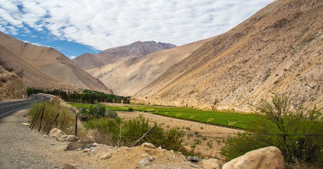 Pisco Elqui
